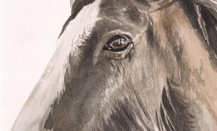 Emily is the talented artist at Bowowhouse and creates pet portrait watercolours, handmade wool dog coats and hand painted dog jackets. A selection of